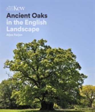 Ancient Oaks Ancient Oaks