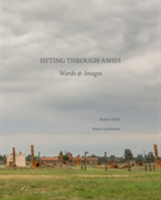 Sifting Through Ashes