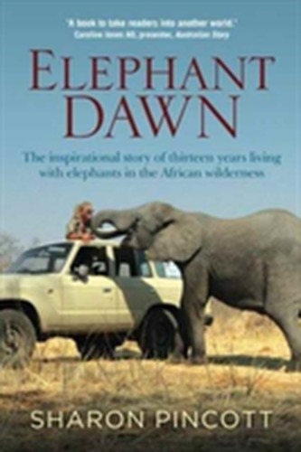 Elephant Dawn Elephant Dawn