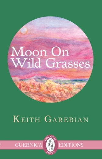 Moon on Wild Grasses