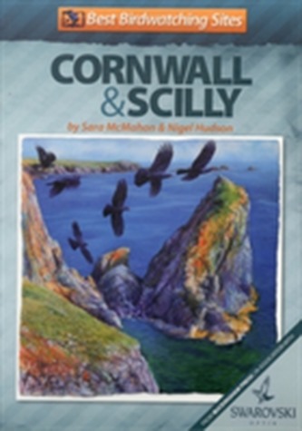 Best Birdwatching Sites in Cornwall and Scilly