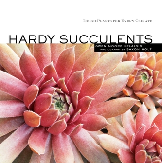 Hardy Succulents Hardy Succulents