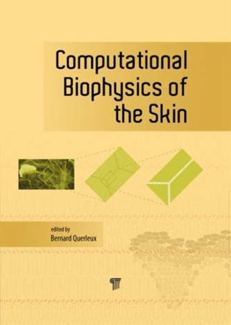Computational Biophysics of the Skin