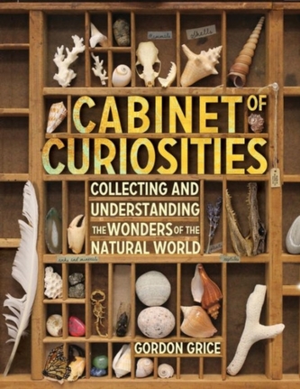 Cabinet Of Curiosities Cabinet Of Curiosities