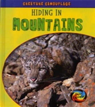 Hiding in Mountains