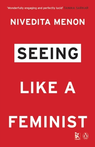 Seeing Like A Feminist