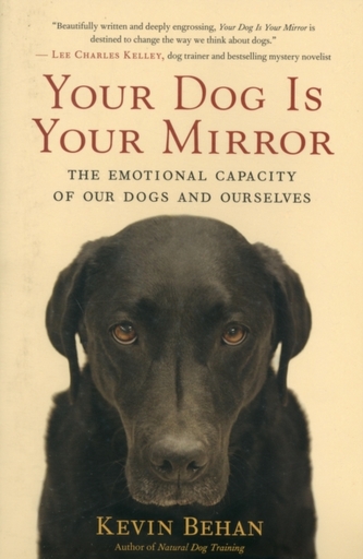 Your Dog is Your Mirror