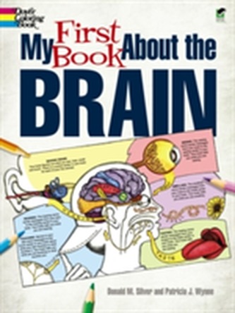 My First Book About the Brain