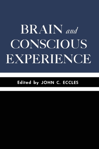 Brain and Conscious Experience