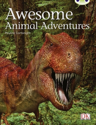 BC NF Lime A/3C Awesome Animal Adventures