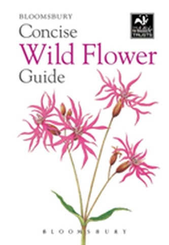 Concise Wild Flower Guide