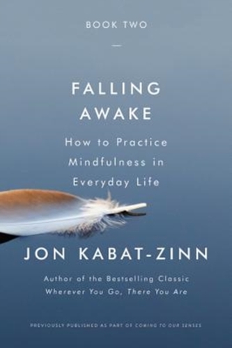 FALLING AWAKE HOW TO PRACTICE MINDFULNES