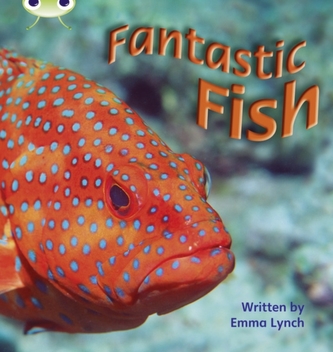 Fantastic Fish