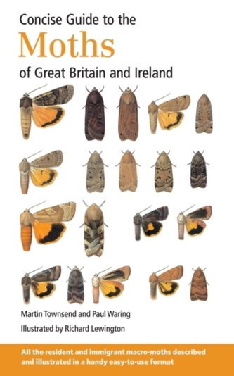 Concise Guide to the Moths of Great Britain and Ireland