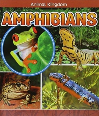 Amphibians