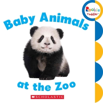 BABY ANIMALS AT THE ZOO
