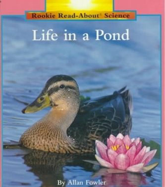 Life in a Pond