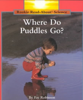 WHERE DO PUDDLES GO