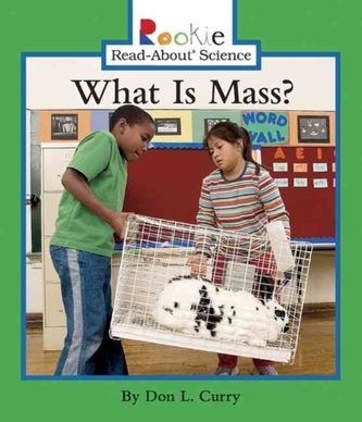 WHAT IS MASS