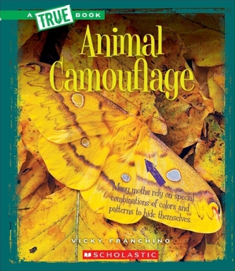 ANIMAL CAMOUFLAGE