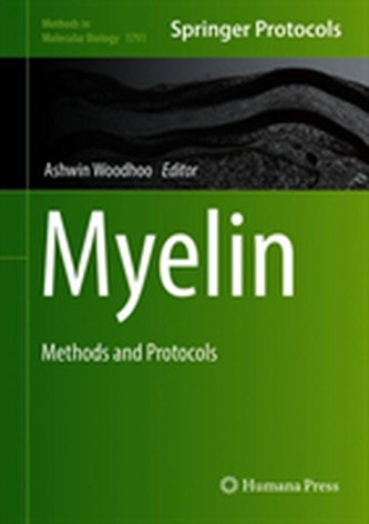 Myelin