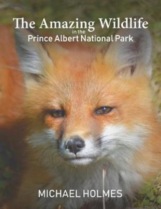 AMAZING WILDLIFE IN THE PRINCE ALBERT NA