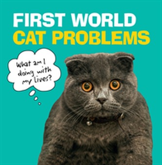 First World Cat Problems First World Cat Problems