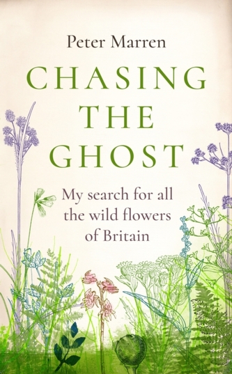 Chasing the Ghost