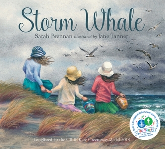 Storm Whale Storm Whale