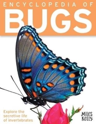 Encyclopedia of Bugs Encyclopedia of Bugs
