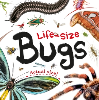 LIFESIZE BUGS