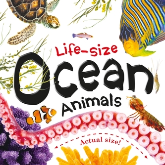 LIFESIZE OCEAN ANIMALS