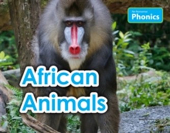 African Animals African Animals