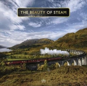 Beauty Of Steam Beauty Of Steam