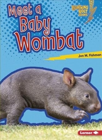 Meet a Baby Wombat - Baby Australian Animals - Lightning Bolt