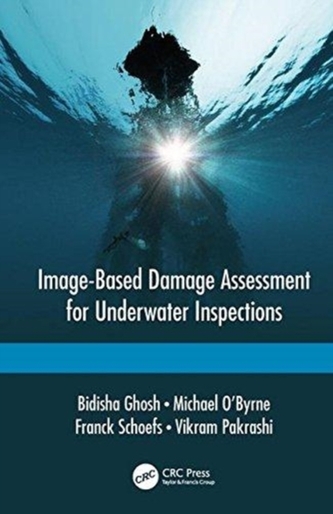 Image-Based Damage Assessment for Underwater Inspections