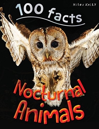 NOCTURNAL ANIMALS
