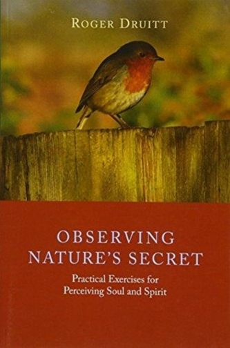 Observing Nature's Secret Observing Nature's Secret