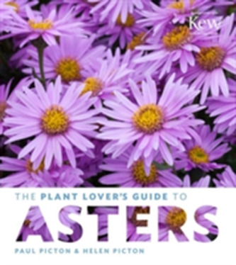 The Plant Lovers Guide to Asters The Plant Lovers Guide to Asters