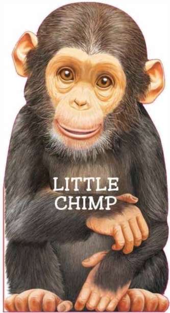 Little Chimp