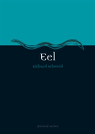 Eel Eel