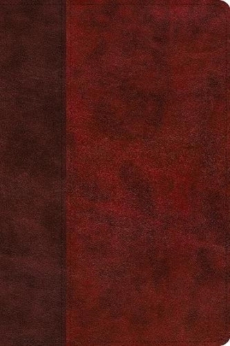 ESV Story of Redemption Bible: A Journey through the Unfolding Promises of God