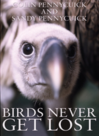Birds Never Get Lost Birds Never Get Lost