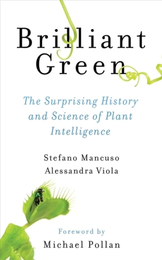 Brilliant Green Brilliant Green