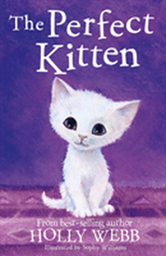 The Perfect Kitten The Perfect Kitten