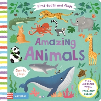 Amazing Animals Amazing Animals