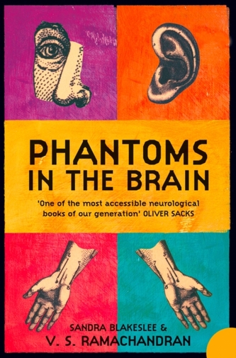 Phantoms in the Brain Phantoms in the Brain