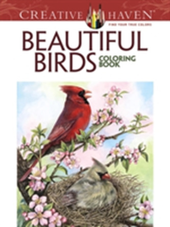Creative Haven Beautiful Birds Coloring Book