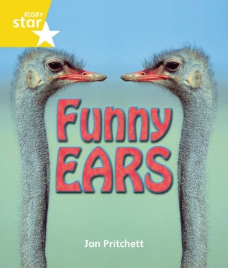 Rigby Star Guided: Year 1 Easy Buy Pack Framework Edition