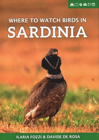 Where to Watch Birds in Sardinia Where to Watch Birds in Sardinia